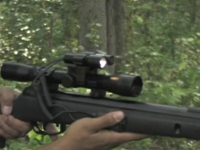 Gamo&reg; Big Cat Varmint Air Rifle with Scope / Laser / Light Combo - image 6 from the video